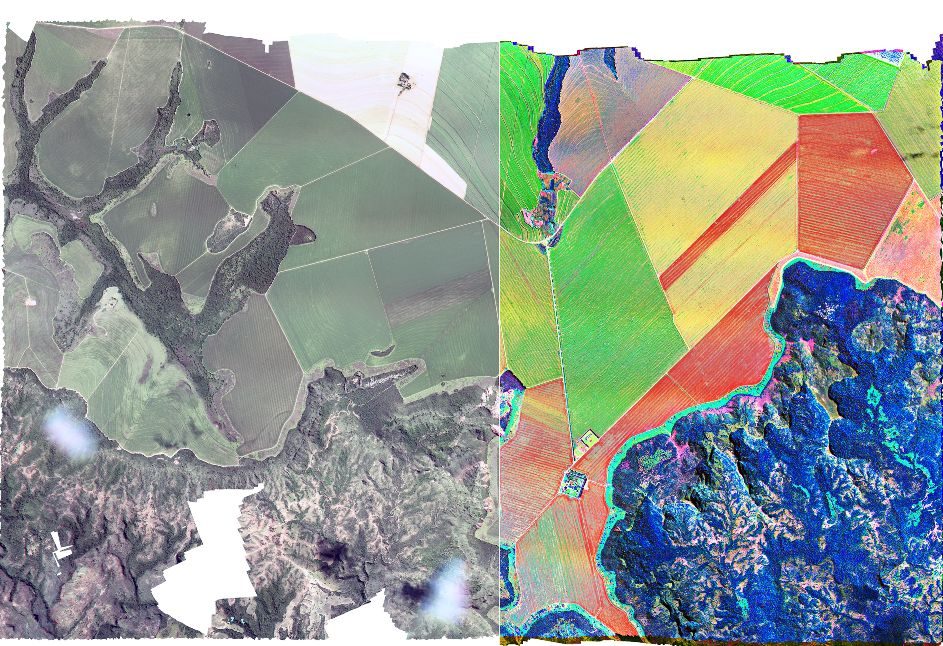 来自Gamaya的高光谱航空图像。这些图像为分析和预测提供了数据。