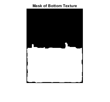图中包含一个轴对象。标题为Mask of Bottom Texture的axes对象包含一个类型为image的对象。