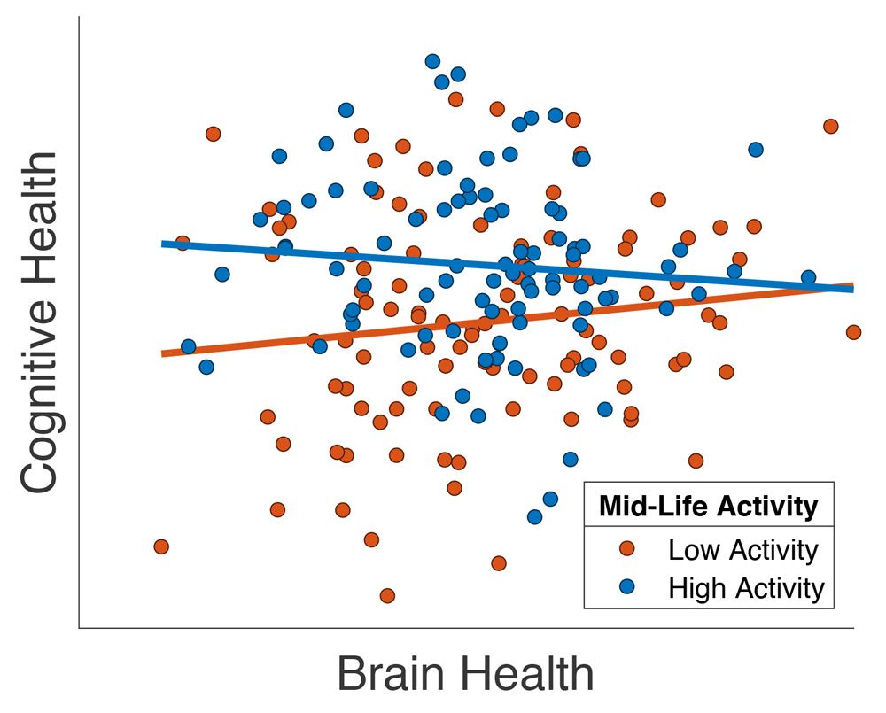 图3.绘制了认知能力与脑部健康结构MRI测量的关系（“总灰质体积”的关系（“总灰质体积”）超过65岁以上的参与者，从Chan等人改编。（2018）。