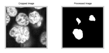图3。未经处理的核簇图像最初被识别为单个大斑点，同一簇重新分析以识别三个独立的细胞核。