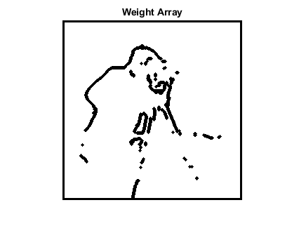 图中包含一个坐标轴。标题为Weight Array的轴包含一个类型为image的对象。