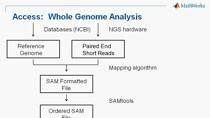 在本次网络研讨会中，您将学习如何使用MATLAB和生物信息学工具箱执行下一代序列(NGS)可视化和分析。应用ChIP-Seq举例说明了NGS分析的关键组件，包括:可视化