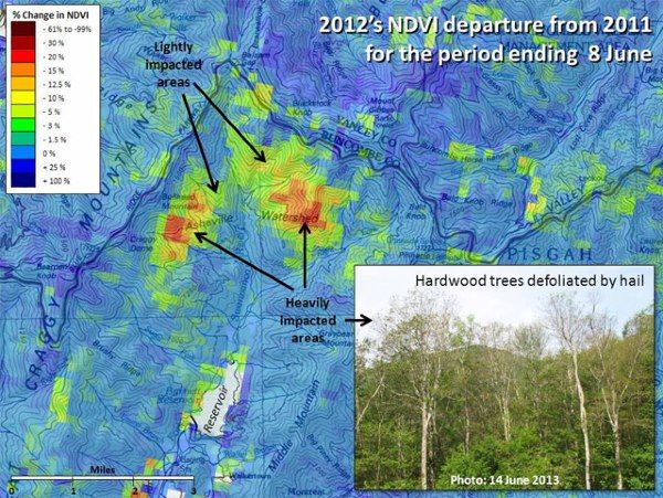 美国森林改变评估观众地图显示2012年冰雹风暴之后北卡罗来纳州的阿什维尔的损坏。