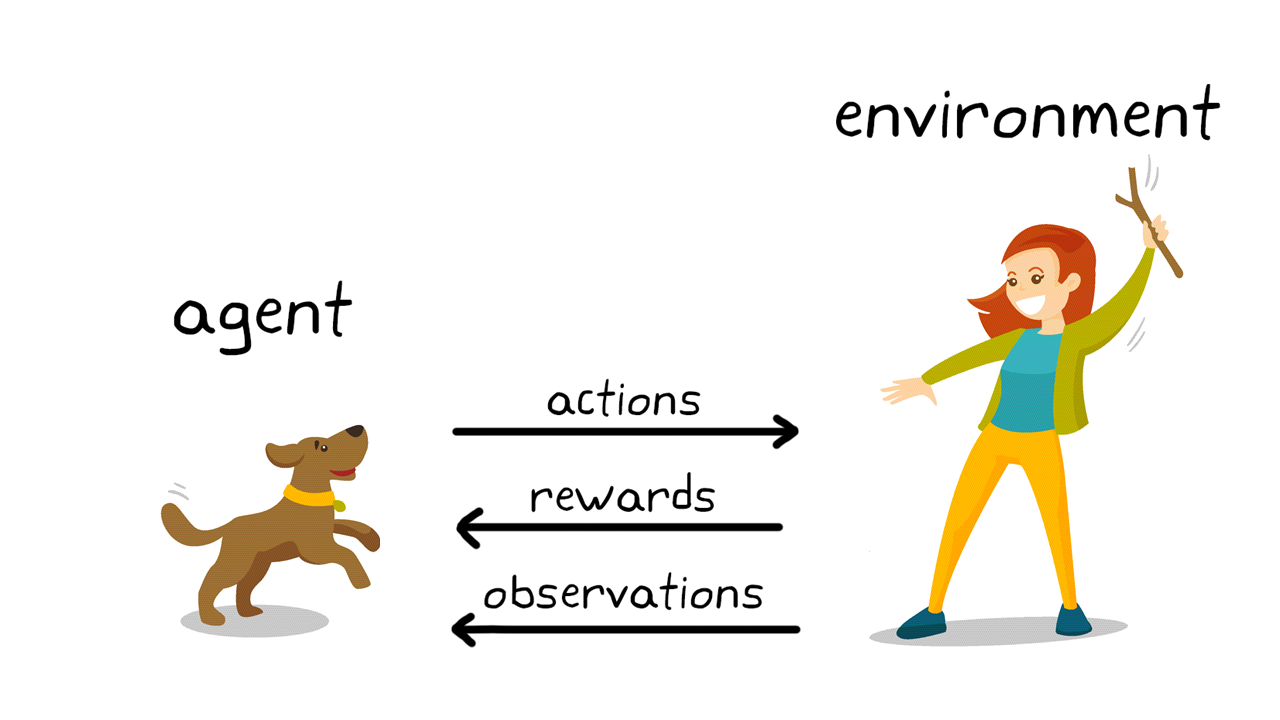 Figura 2。强化在动物体内的学习。