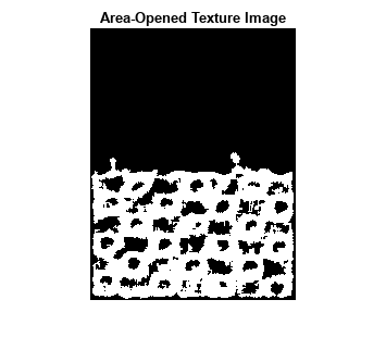 图包含一个轴对象。标题为Area-Opened Texture Image的坐标轴对象包含一个Image类型的对象。