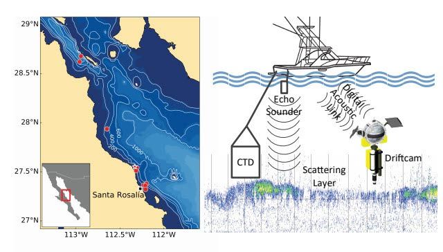 这是加利福尼亚湾的地图，上面有漂移摄像机。左图为带有回声测深仪、船和漂移摄像机的系统示意图。