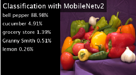 MobileNet-V2网络的代码生成和部署到Raspberry PI