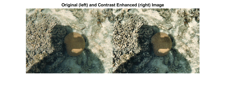 图中包含一个轴。标题为Original(左)和Contrast Enhanced(右)Image的轴包含一个类型为Image的对象。