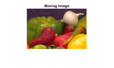 图中包含一个轴对象。标题为Moving Image的轴对象包含三个类型为Image, line的对象。