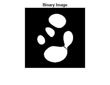 图中包含一个轴对象。标题为Binary Image的axis对象包含一个Image类型的对象。
