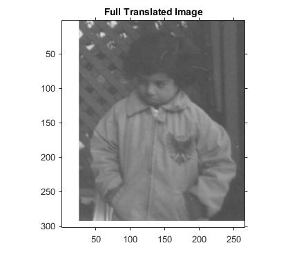 图中包含一个坐标轴。标题为“完整翻译图像”的轴包含一个类型为“图像”的对象。