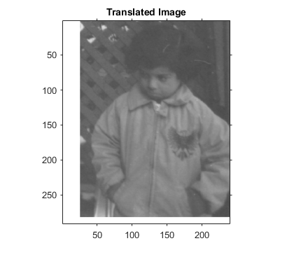 图中包含一个轴。标题为“已转换图像”的轴包含类型为“图像”的对象。