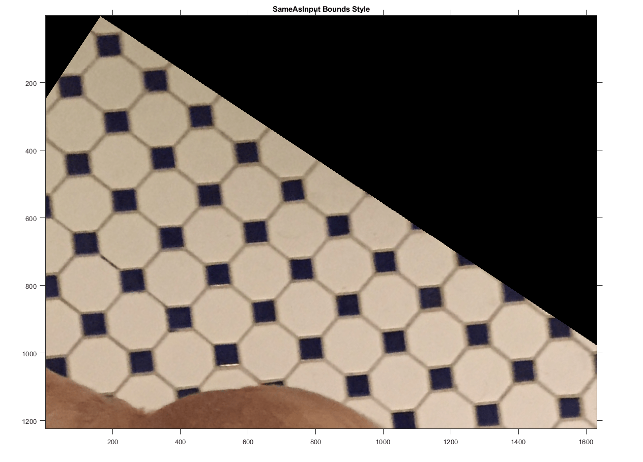图中包含一个坐标轴。标题为SameAsInput Bounds Style的轴包含一个类型为image的对象。