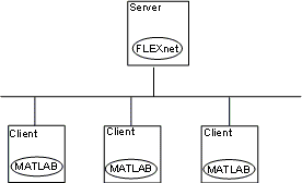 本地客户端 - 服务器网络。FLEXNET许可证管理器安装在服务器上，MATLAB安装在三个客户端上。