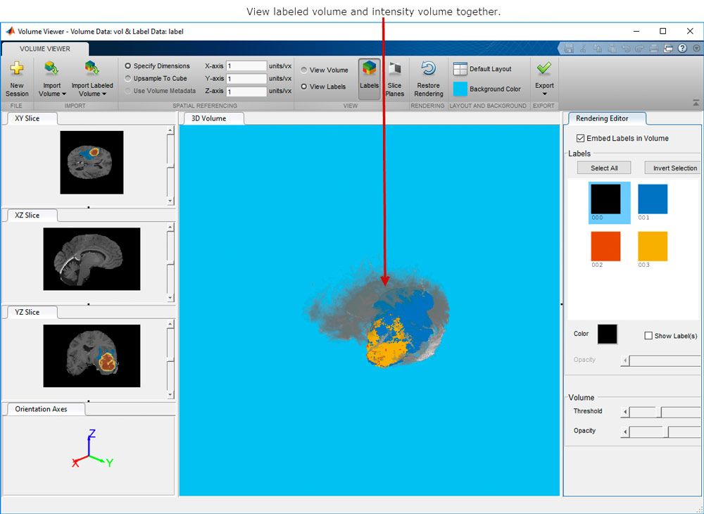 Volume Viewer应用程序，显示3D体积数据和3D标记的体积数据。