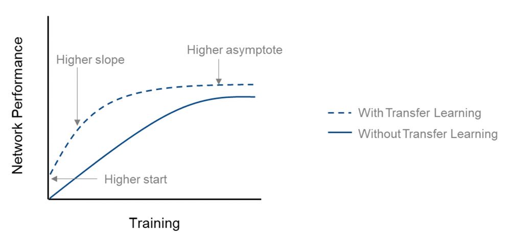 比较从零开始训练和迁移学习的网络性能(准确性)。