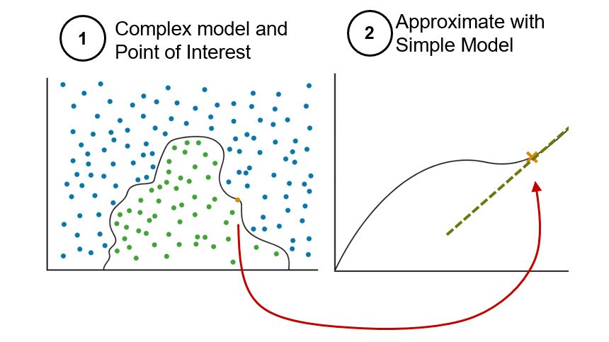 LIME은 복잡한 모델의 간단한 근사 모델을 국지적으로 구축합니다.