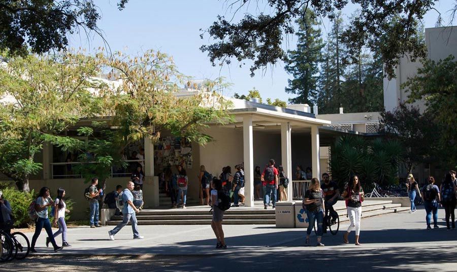 在一个阳光明媚的日子里，在加州大学戴维斯分校的杨大厅外，学生们步行去上课。