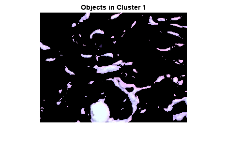 图中包含一个轴。Cluster 2中标题为Objects的轴包含一个类型为image的对象。