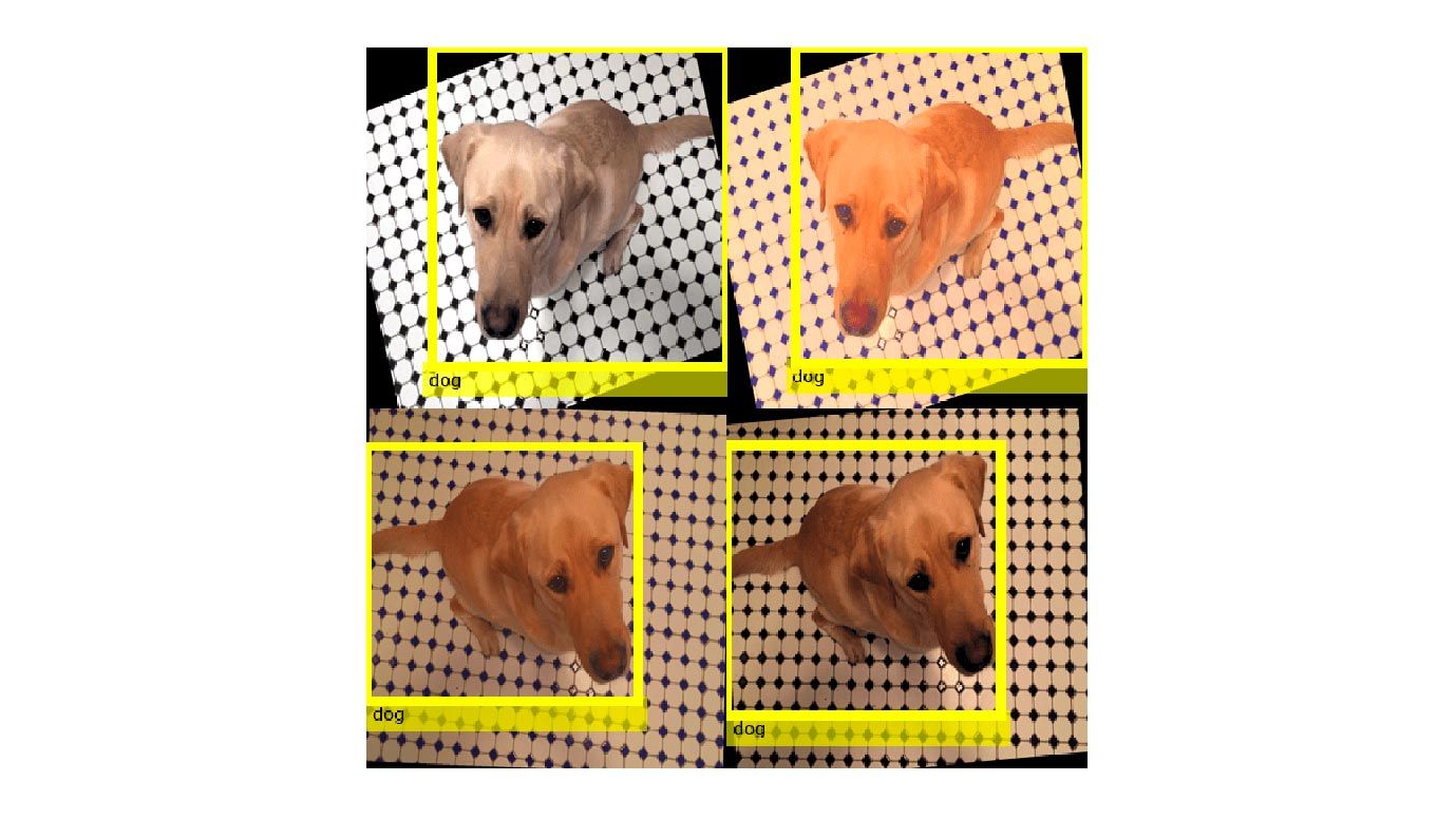 Four images of a dog that shows how to perform common kinds of image and bounding box augmentation as part of object detection workflows.