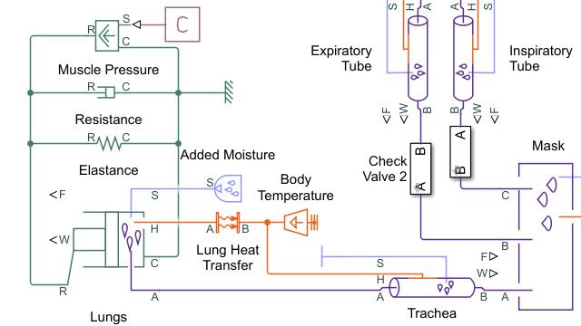 医用呼吸机带肺模型