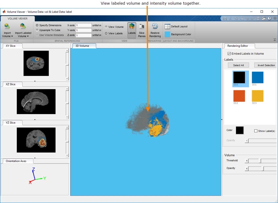 Volume Viewer应用程序可以让你与和查看3D体积或标记的3D体积数据。