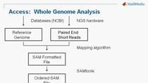 在本网络研讨会中，您了解如何使用MATLAB和BioInformatics工具箱执行下一代序列（NGS）可视化和分析。 An applied ChIP-Seq example is used to illustrate key components of NGS analysis including:     Visualizing s