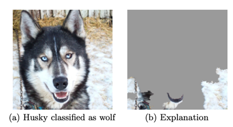 Explainability石灰表明,哈士奇和狼分类器方法检测雪的存在。