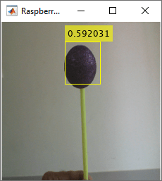 使用Raspberry Pi的深度学习来检测和跟踪对象