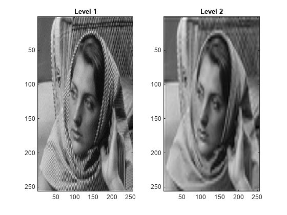 图中包含2个轴对象。标题为Level 1的坐标轴对象1包含一个image类型的对象。标题为Level 2的坐标轴对象2包含一个image类型的对象。