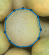 蓝色多边形ROI, 10个顶点接近图像中物体的边界。